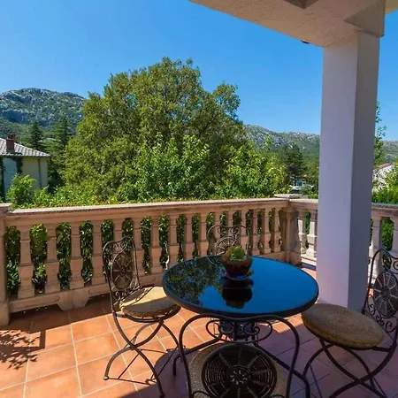 Holiday In Tribalj 39243